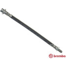 Brembo | Bremsschlauch | T 24 037