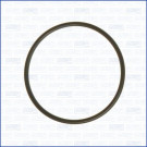 AJUSA 16057900 Ansaugkrümmerdichtung