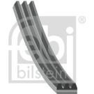 febi bilstein | Keilrippenriemen | 192880