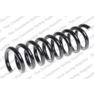 4256880 Fahrwerksfeder