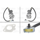 Valeo | AGR-Ventil | 700412