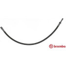 T 50 056 Bremsschlauch ESSENTIAL LINE