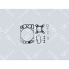 OE Germany | Dichtungssatz, Zylinderkopf | 02 3004 280001
