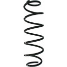 Spidan | Fahrwerksfeder | 87859