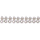 Maxgear | Glühlampe, Kennzeichenleuchte | 78-0078SET
