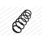 4256863 Fahrwerksfeder