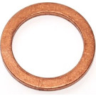 Elring | Dichtring | 113.000