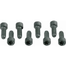 Sachs | Schraubensatz, Schwungrad | 1874 000 031