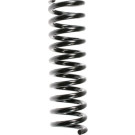 Spidan | Fahrwerksfeder | 48672