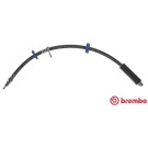 Brembo | Bremsschlauch | T 23 193