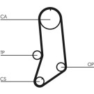 CT594 Zahnriemen CT594 Zahnriemen