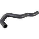 2420959 Kühlerschlauch