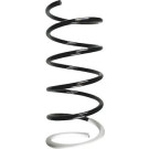 49650 Fahrwerksfeder