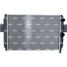 NRF | Kühler, Motorkühlung | 51564