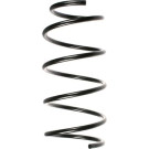 Spidan | Fahrwerksfeder | 48454