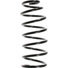 Spidan | Fahrwerksfeder | 48631