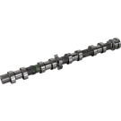 FEBI BILSTEIN 178953 Nockenwelle FEBI BILSTEIN 178953 Nockenwelle