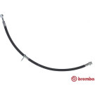 Brembo | Bremsschlauch | T 79 042