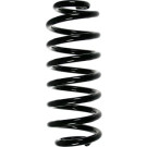 Spidan | Fahrwerksfeder | 55114