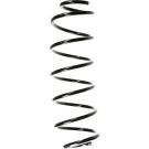 Spidan | Fahrwerksfeder | 55165