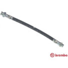 Brembo | Bremsschlauch | T 61 053