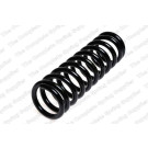 4256800 Fahrwerksfeder