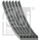 FEBI BILSTEIN 28926 Keilrippenriemen