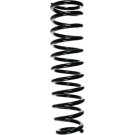 Spidan | Fahrwerksfeder | 55435