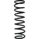 Spidan | Fahrwerksfeder | 56748