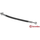 Brembo | Bremsschlauch | T 56 144