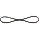 1 987 947 559 Keilrippenriemen 1 987 947 559 Keilrippenriemen