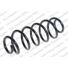 4255473 Fahrwerksfeder