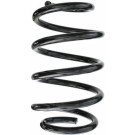 Spidan | Fahrwerksfeder | 87498