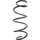 Spidan | Fahrwerksfeder | 87394