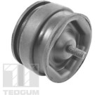 Tedgum | Lagerung, Motor | 00221175