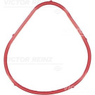 Victor Reinz | Dichtung, Ansaugkrümmer | 71-35899-00