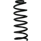 Spidan | Fahrwerksfeder | 87987