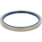 12011373B Wellendichtring, Radnabe