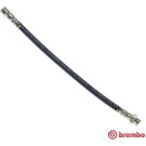 Brembo | Bremsschlauch | T 61 044