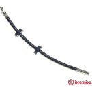 Brembo | Bremsschlauch | T 85 058