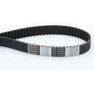 CT1000 Zahnriemen CT1000 Zahnriemen