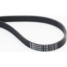 6PK1715 Keilrippenriemen 6PK1715 Keilrippenriemen