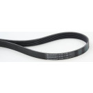 ContiTech | Keilrippenriemen | 6PK1100