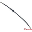 Brembo | Bremsschlauch | T 50 027