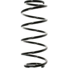 Spidan | Fahrwerksfeder | 48574