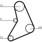 CT685 Zahnriemen CT685 Zahnriemen