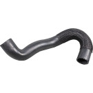 2421539 Kühlerschlauch