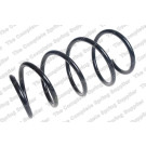 4092616 Fahrwerksfeder