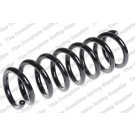 4215628 Fahrwerksfeder