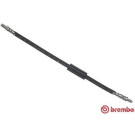 Brembo | Bremsschlauch | T 24 047